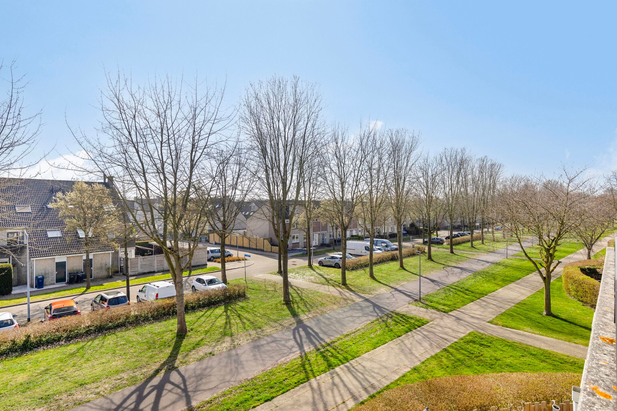 Foto 24 van Springendallaan 2