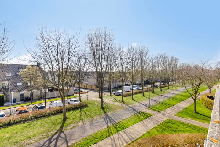 Photo 24 of Springendallaan 2