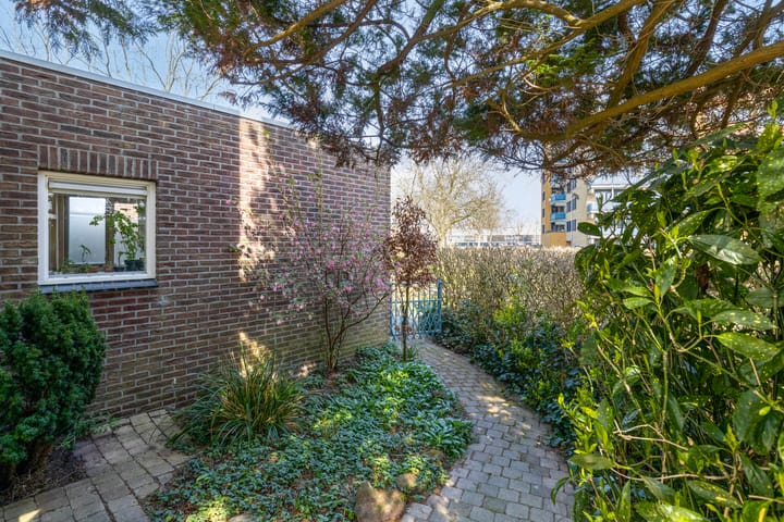 Photo 28 of Springendallaan 2