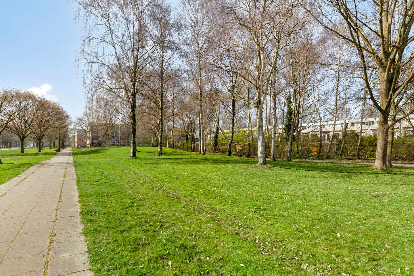 Foto 29 van Springendallaan 2