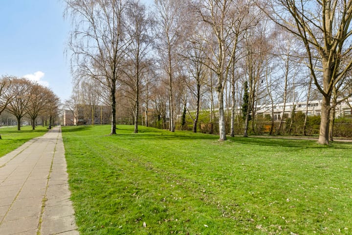 Photo 29 of Springendallaan 2