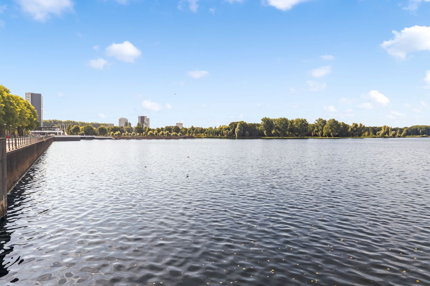 Foto 34 van Burgemeester Hogguerstraat 901