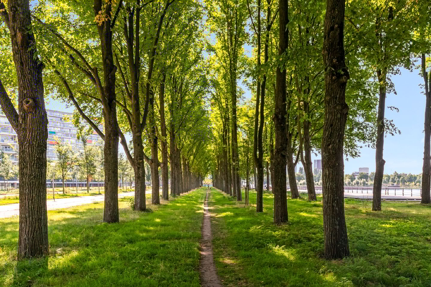 Foto 35 van Burgemeester Hogguerstraat 901