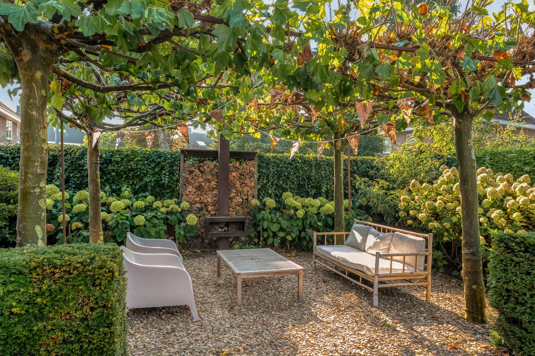 Photo 37 of Magistraat 11