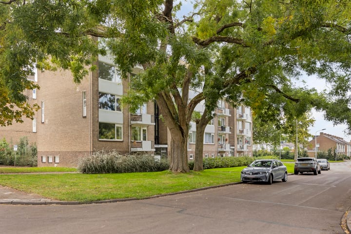 Foto 5 van Schaliedekkersdreef 50-C