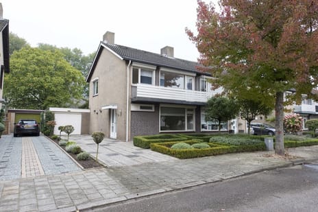 undefined main image