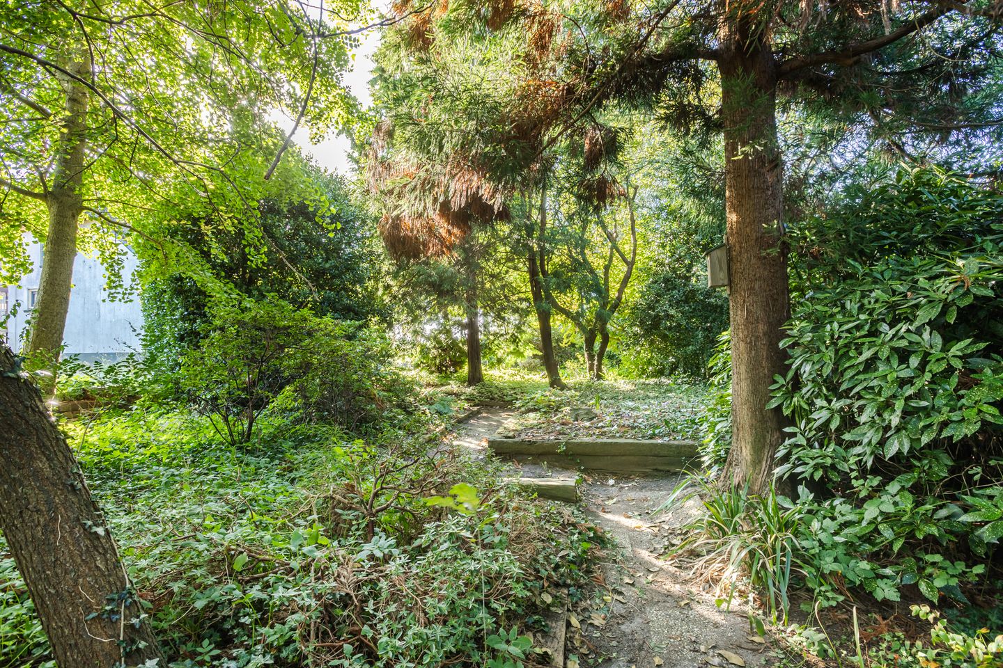 Photo 34 of Zwolseweg 227