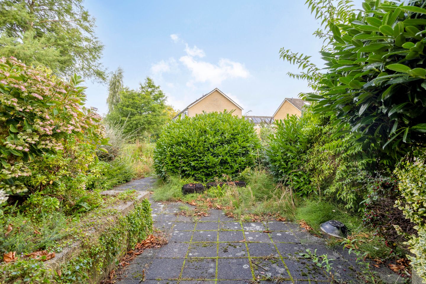 Photo 34 of Neptunuslaan 170