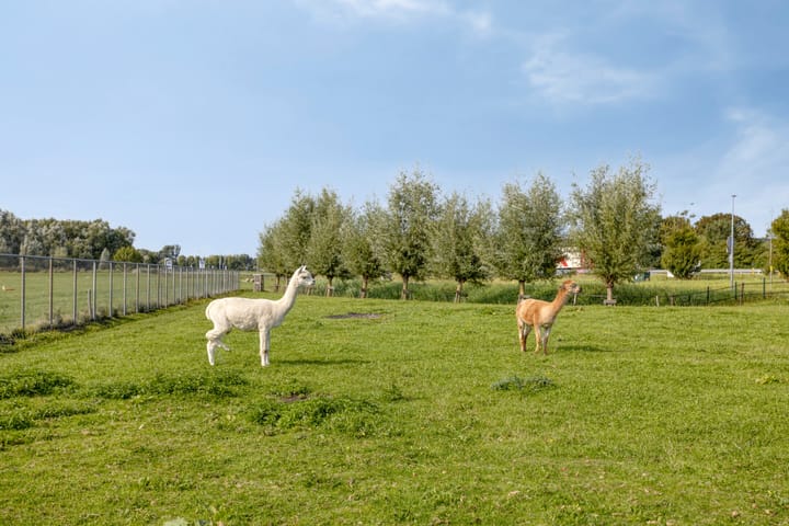 Foto 50 van De Weel 4