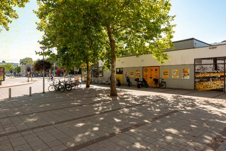 Foto 55 van Marquette 14