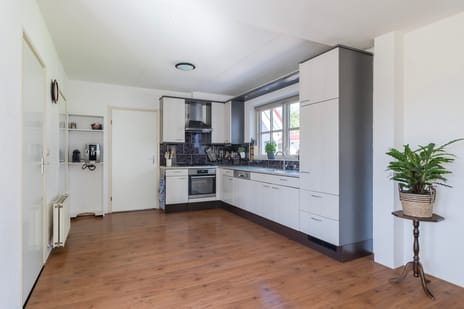 Brongersmastrjitte 4 tertiary image