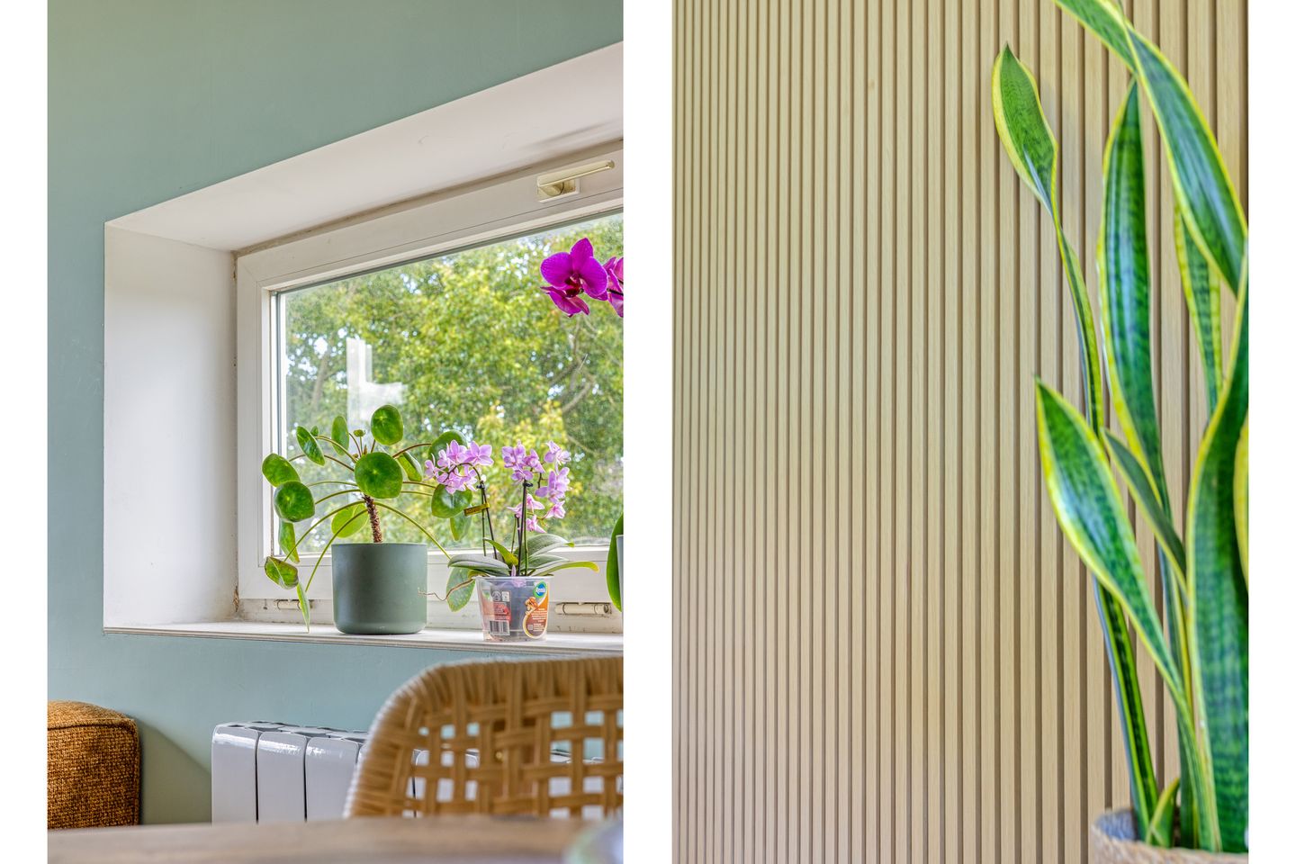 Foto 14 van Frans Halslaan 191