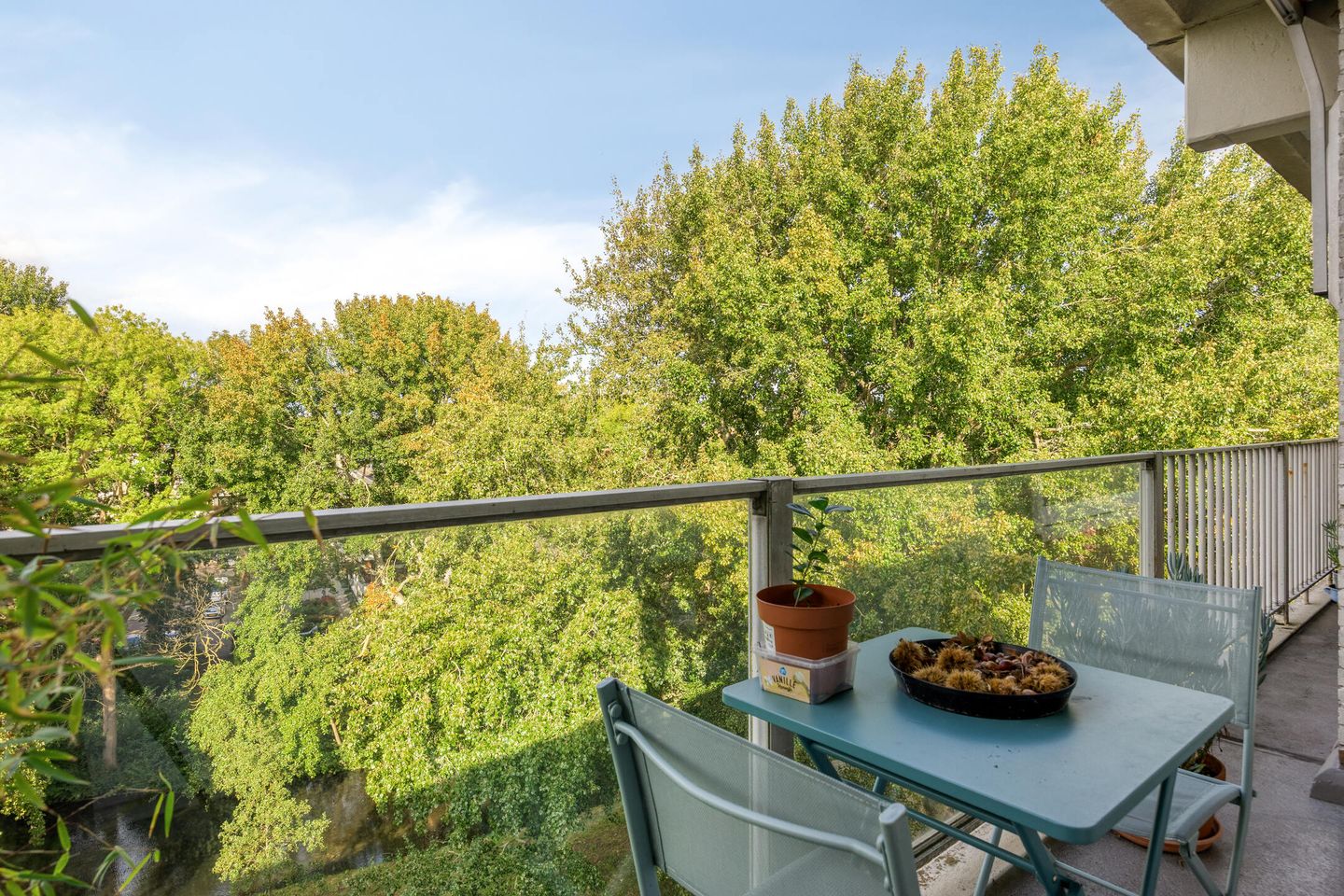 Foto 25 van Frans Halslaan 191