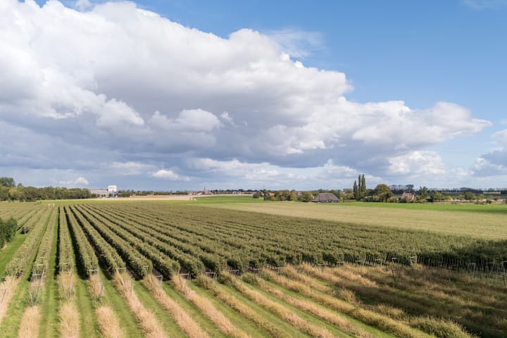 Foto 43 van Hoefkensdijk 14