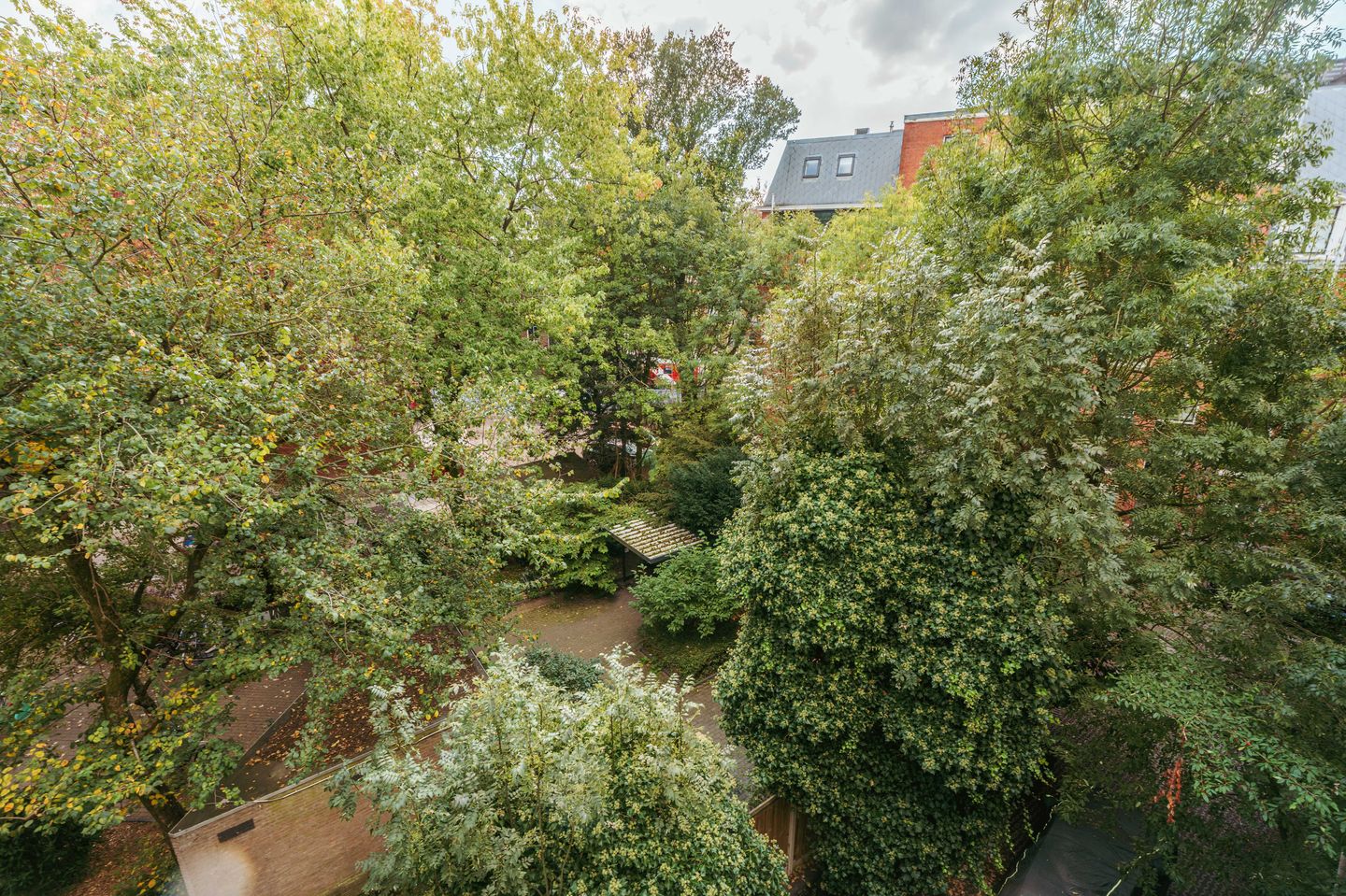 Foto 29 van Vondelstraat 9-2