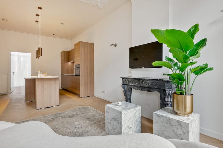 Photo 5 of Pieter Cornelisz. Hooftstraat 130-1