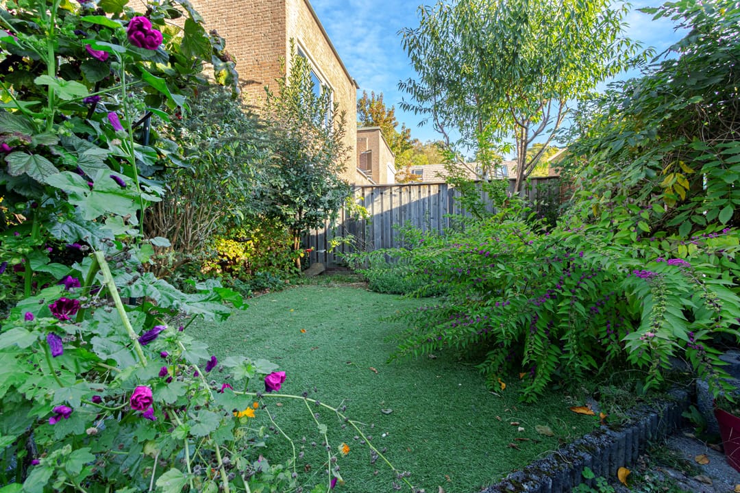 Foto 23 van Hogeborg 46