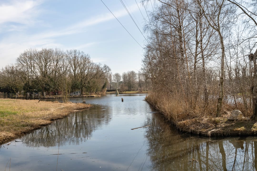 Foto 41 van Fazantenkamp 225