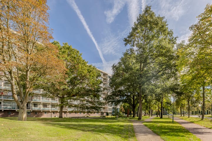 Photo 35 of Haverweerd 81