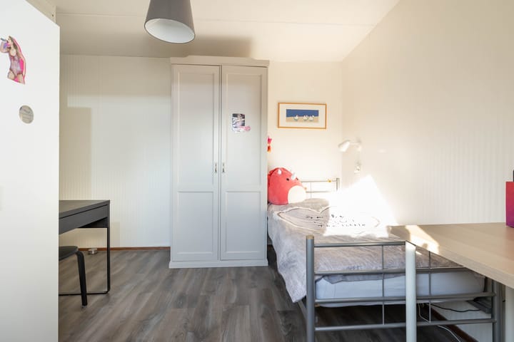 Foto 27 van van Leeuwenhoekstraat 9