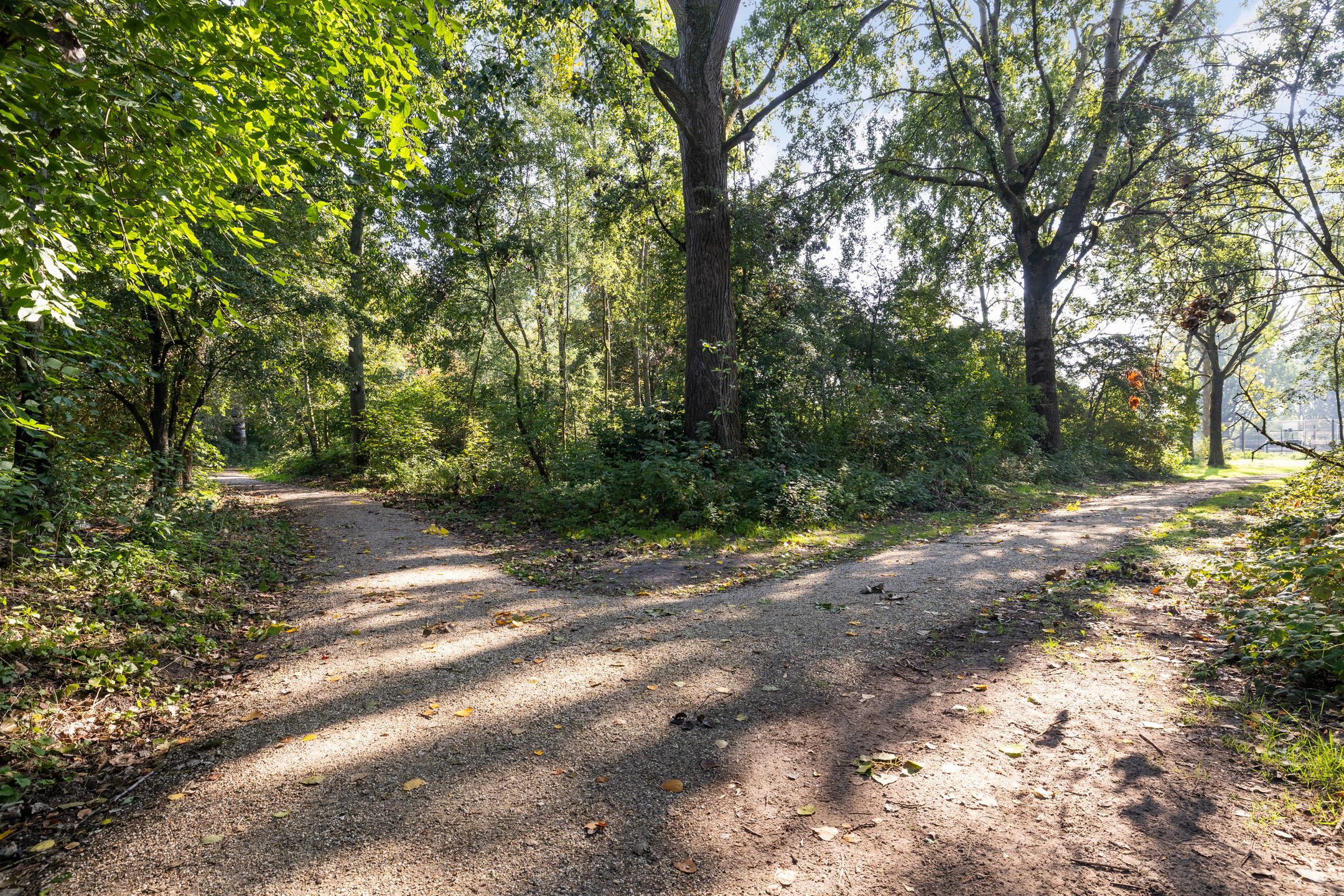 Foto 36 van Operaweg 28