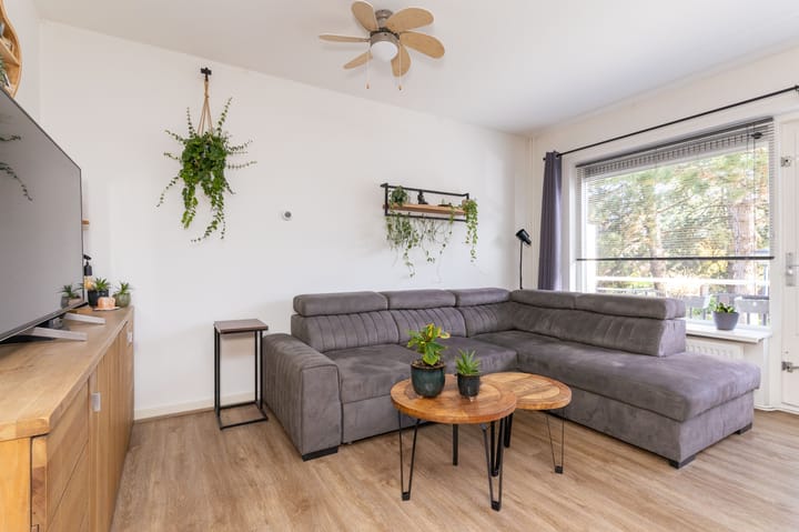 Photo 11 of Poolster 24