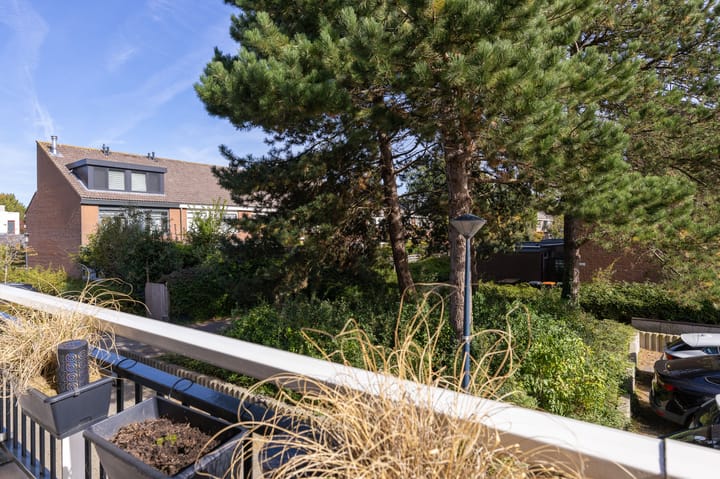 Photo 14 of Poolster 24