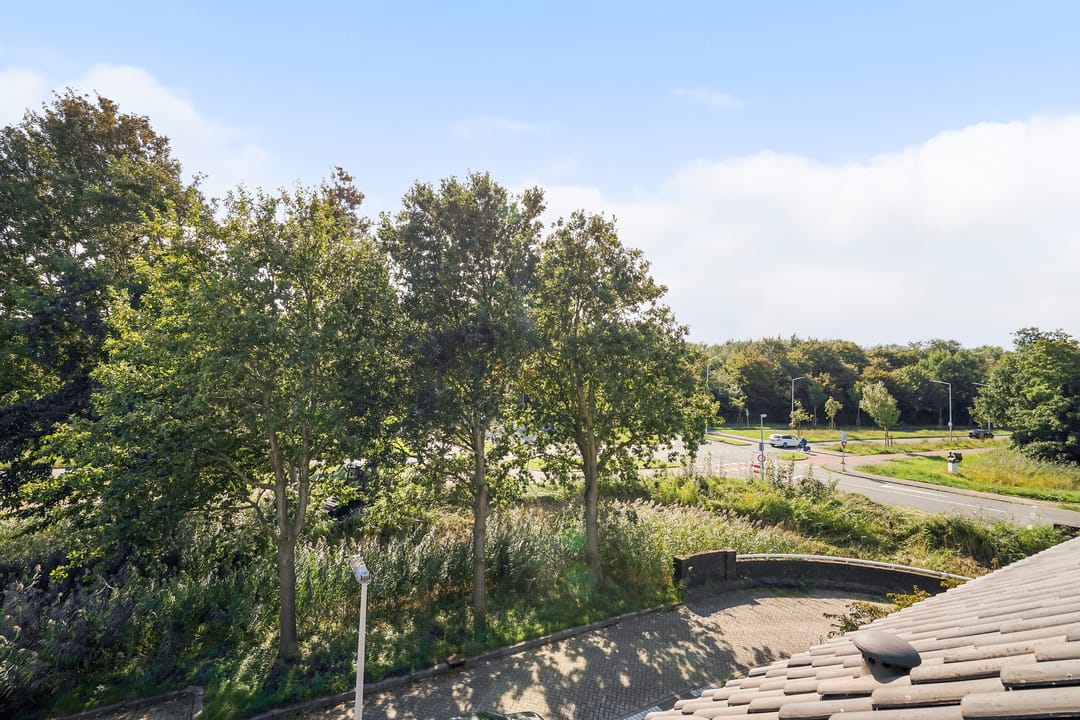 Photo 61 of Zandzeggelaan 199