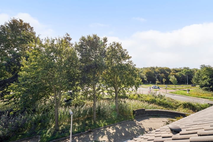 Photo 61 of Zandzeggelaan 199