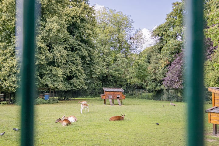 Foto 41 van Cervanteslaan 5