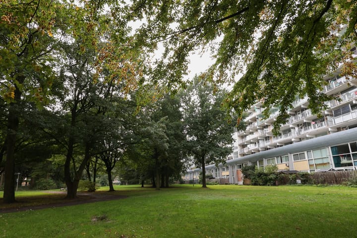 Photo 19 of Hoogoord 81