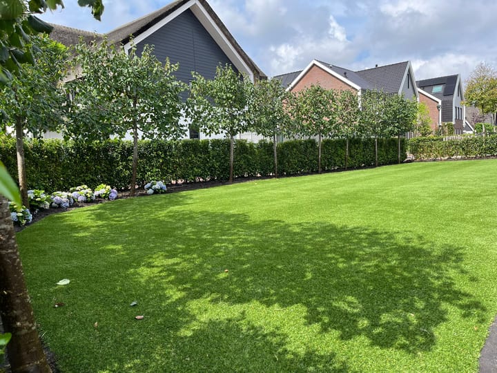 Foto 6 van Zuiderzeedreef 17