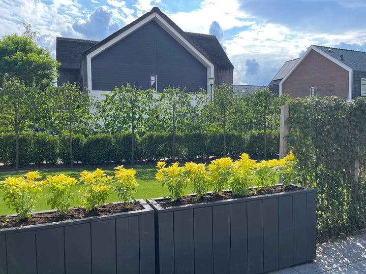 Foto 19 van Zuiderzeedreef 17