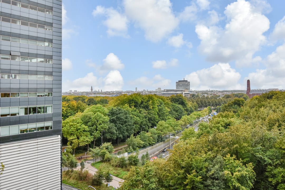 Photo 38 of Boslaan 343