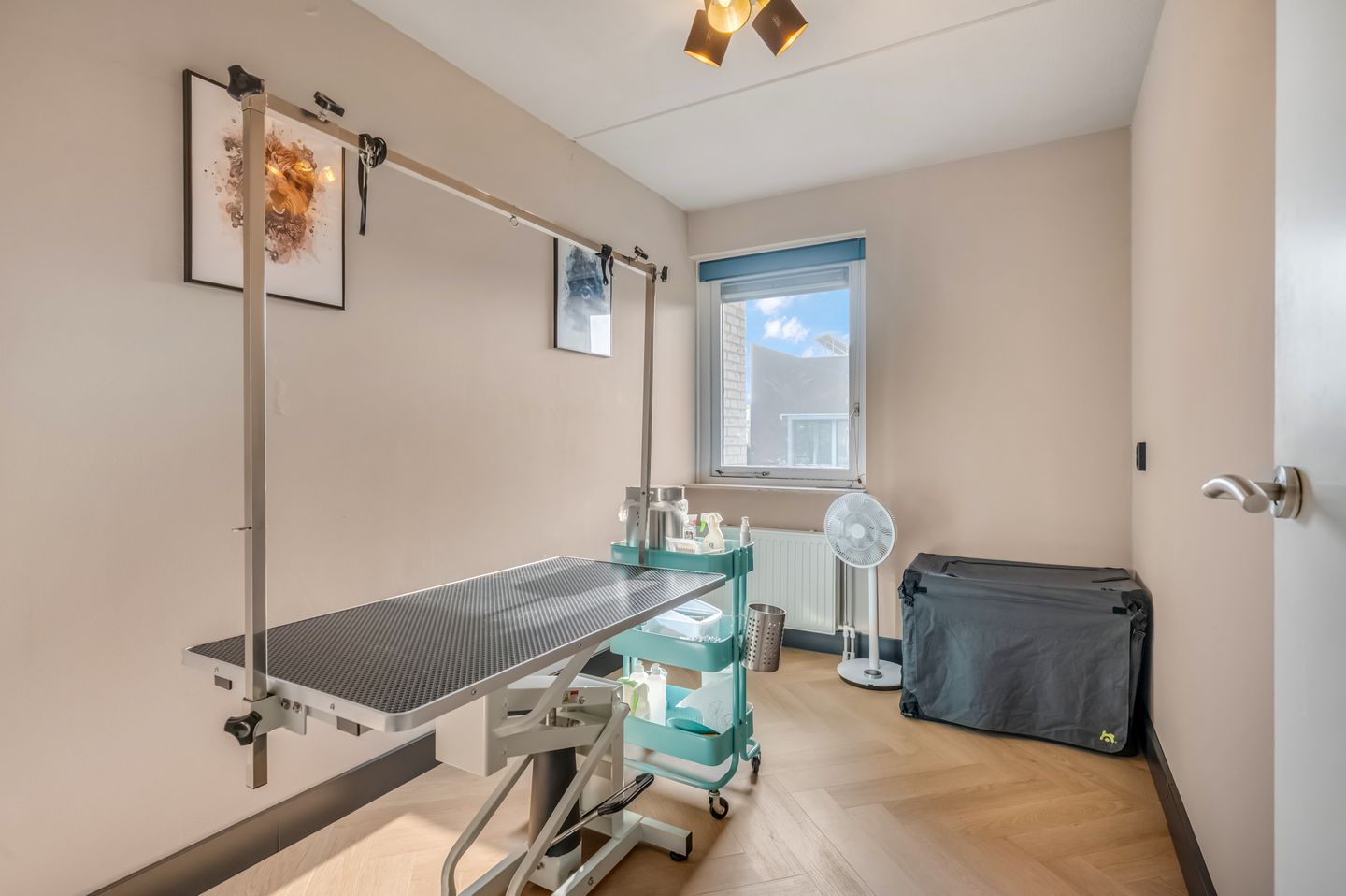 Foto 20 van Ruisvoorn 122