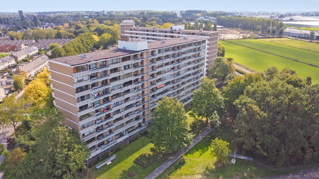 Foto 1 van Seringenplantsoen 459