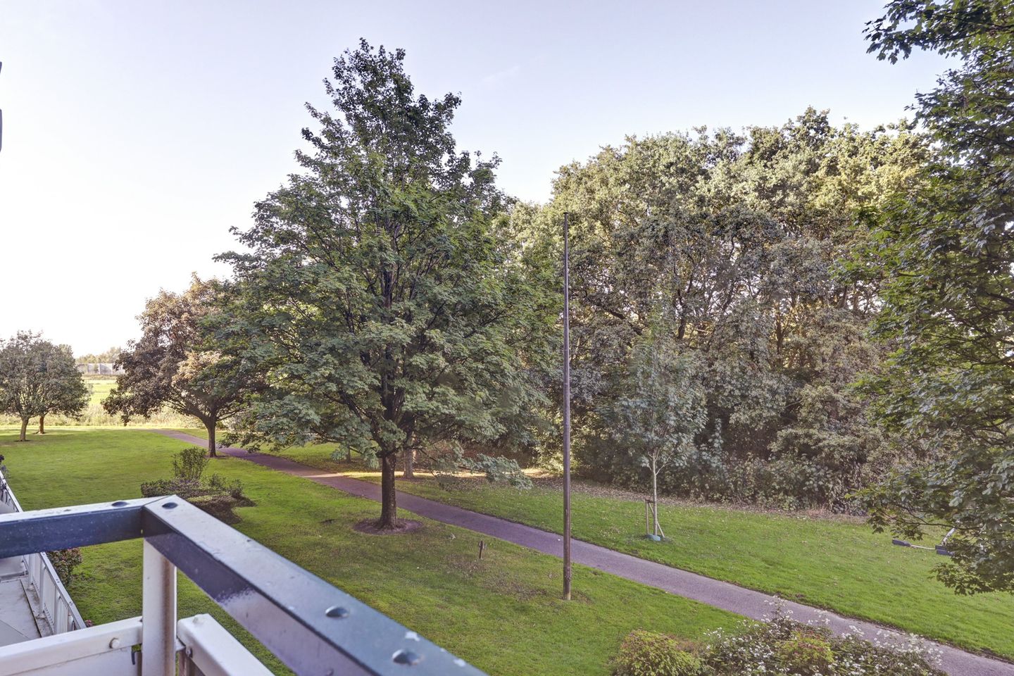 Foto 5 van Seringenplantsoen 459