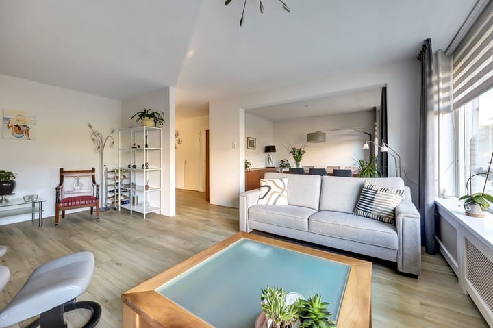 Foto 8 van Seringenplantsoen 459