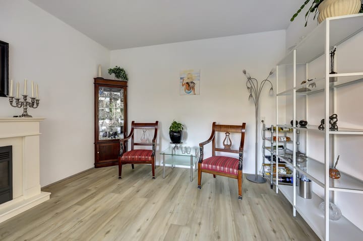 Foto 12 van Seringenplantsoen 459