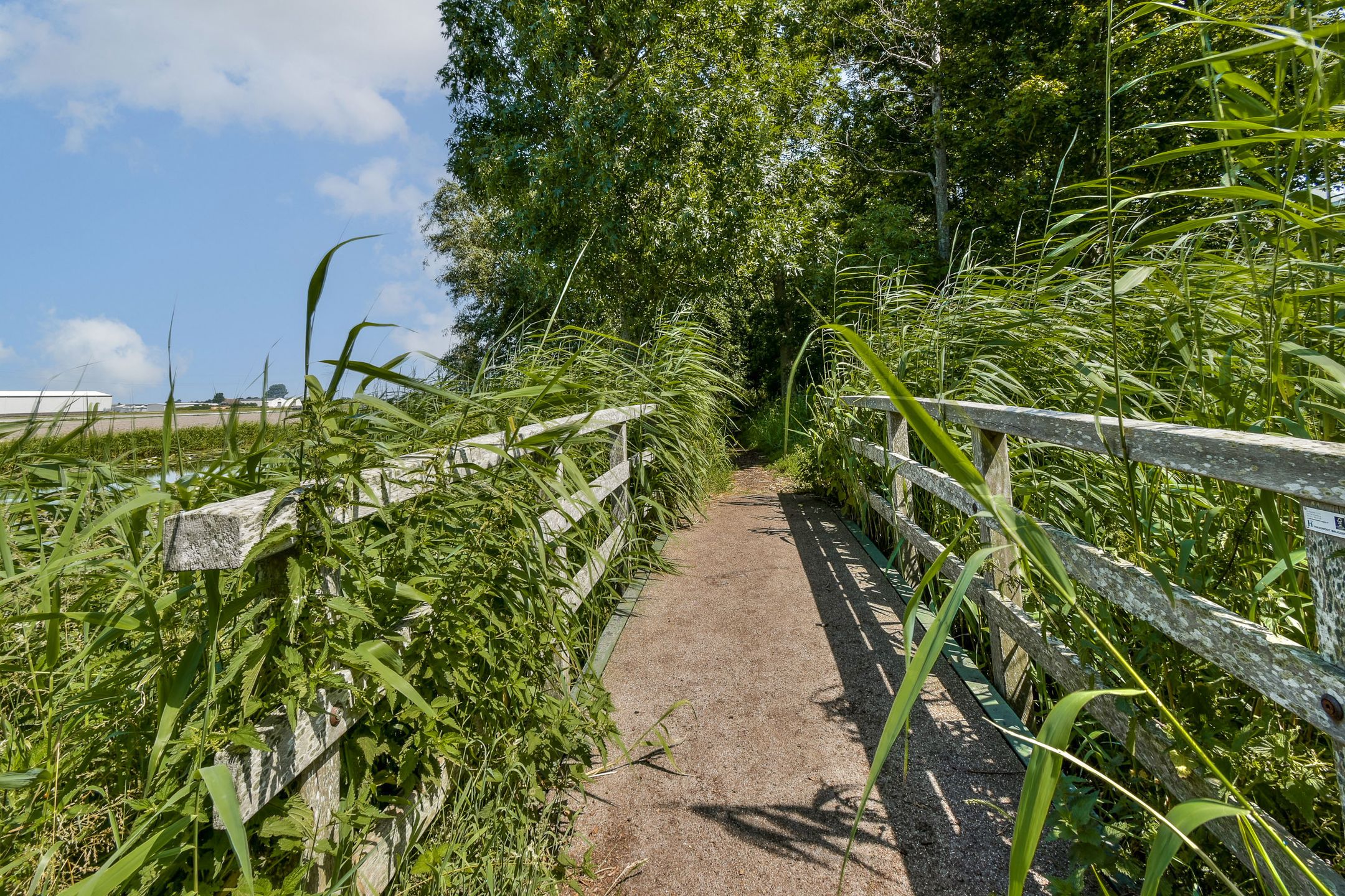 Foto 18 van Saksenhorst 23-C