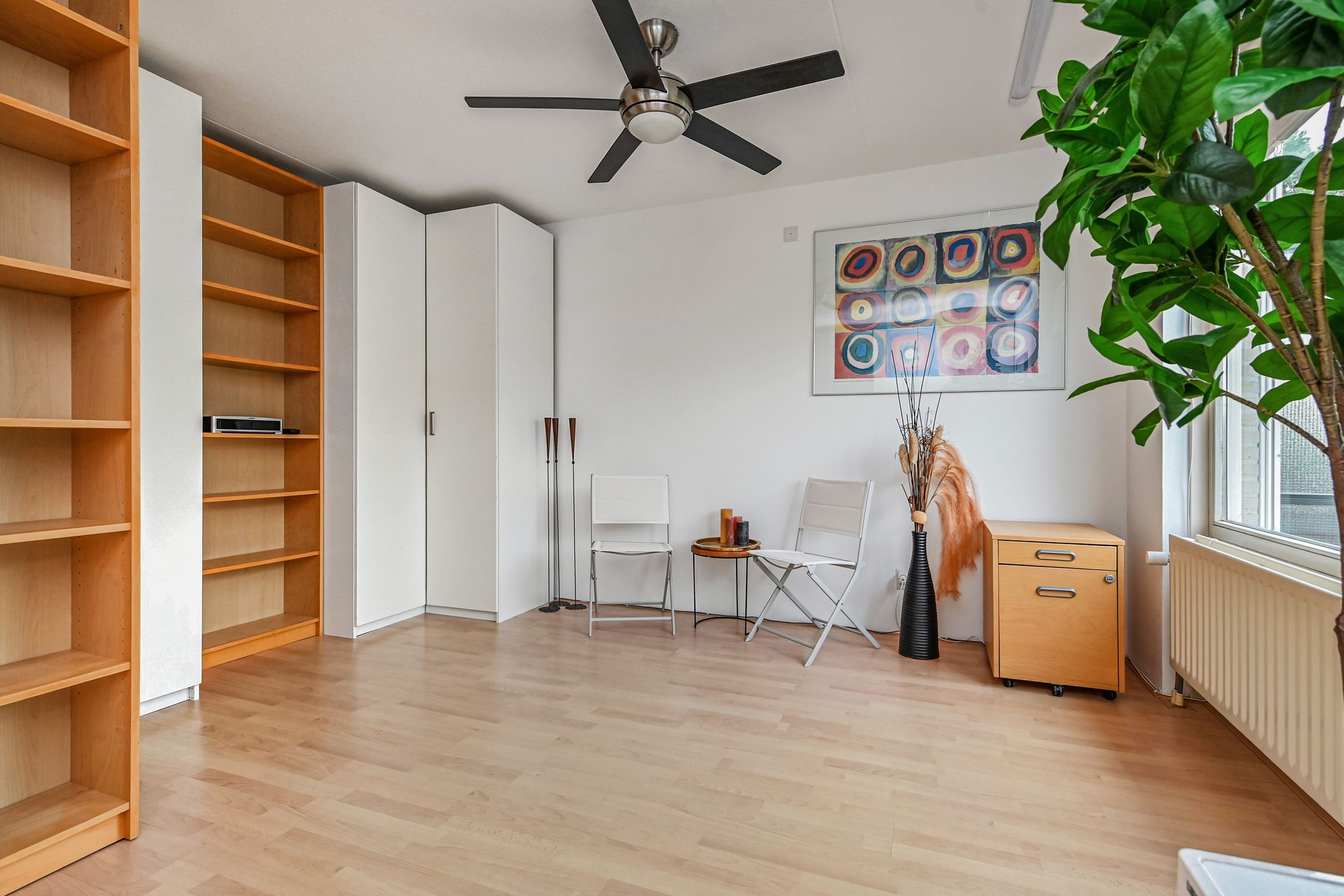 Foto 24 van Dahlia 5