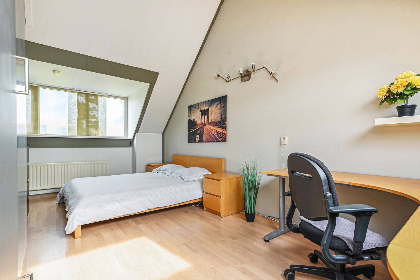 Foto 40 van Dahlia 5