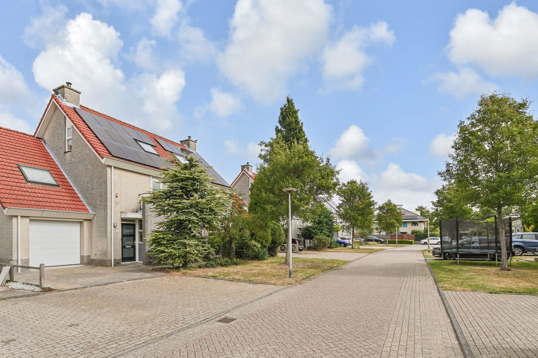 Foto 56 van Dahlia 5