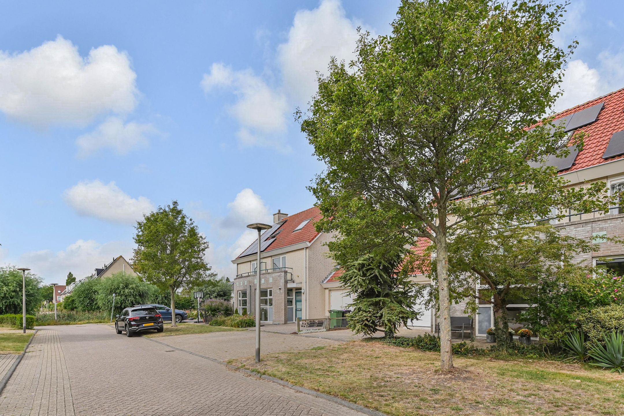 Foto 57 van Dahlia 5