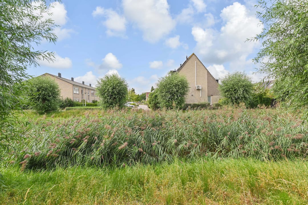 Foto 58 van Dahlia 5