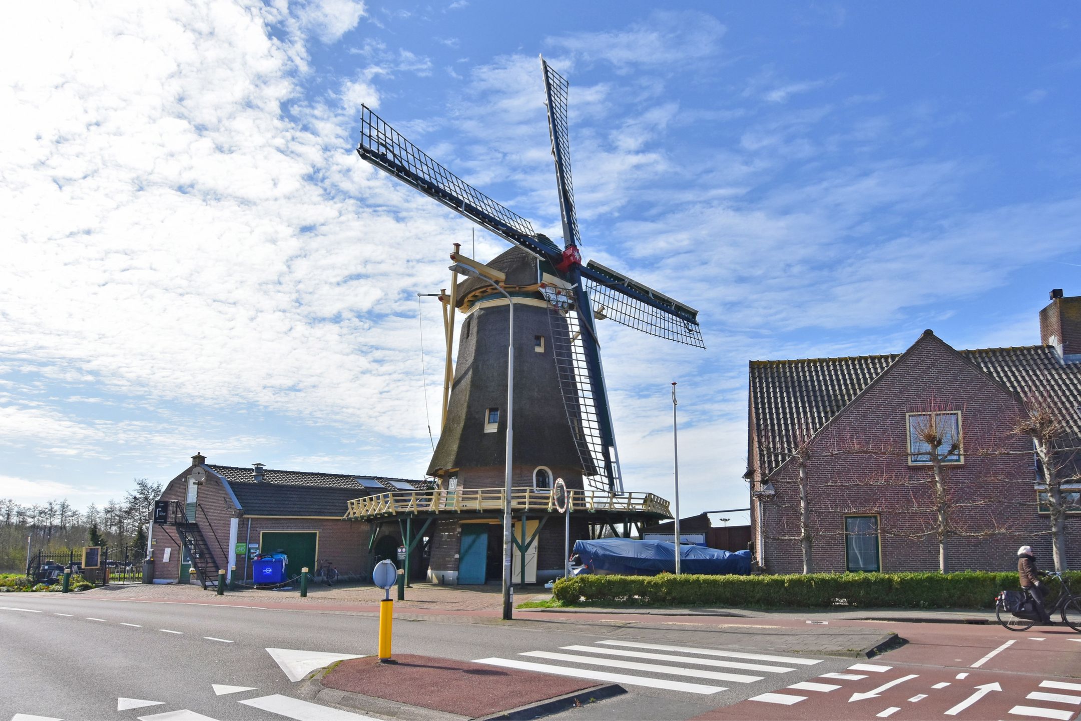 Foto 60 van Dahlia 5