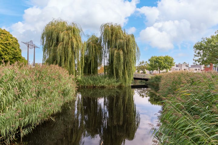 Foto 2 van Zuiderkruis 630