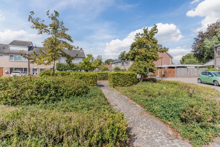 Foto 39 van Prinses Ireneplein 9