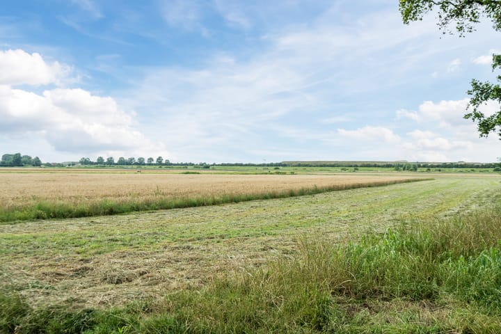 Photo 48 of Oosteinde 6