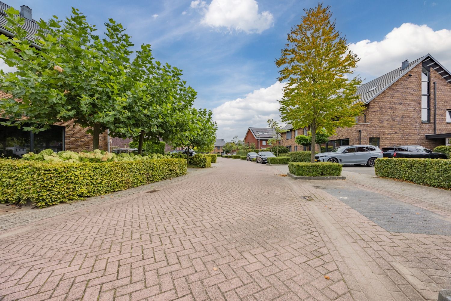 Foto 36 van Witte Emille 8